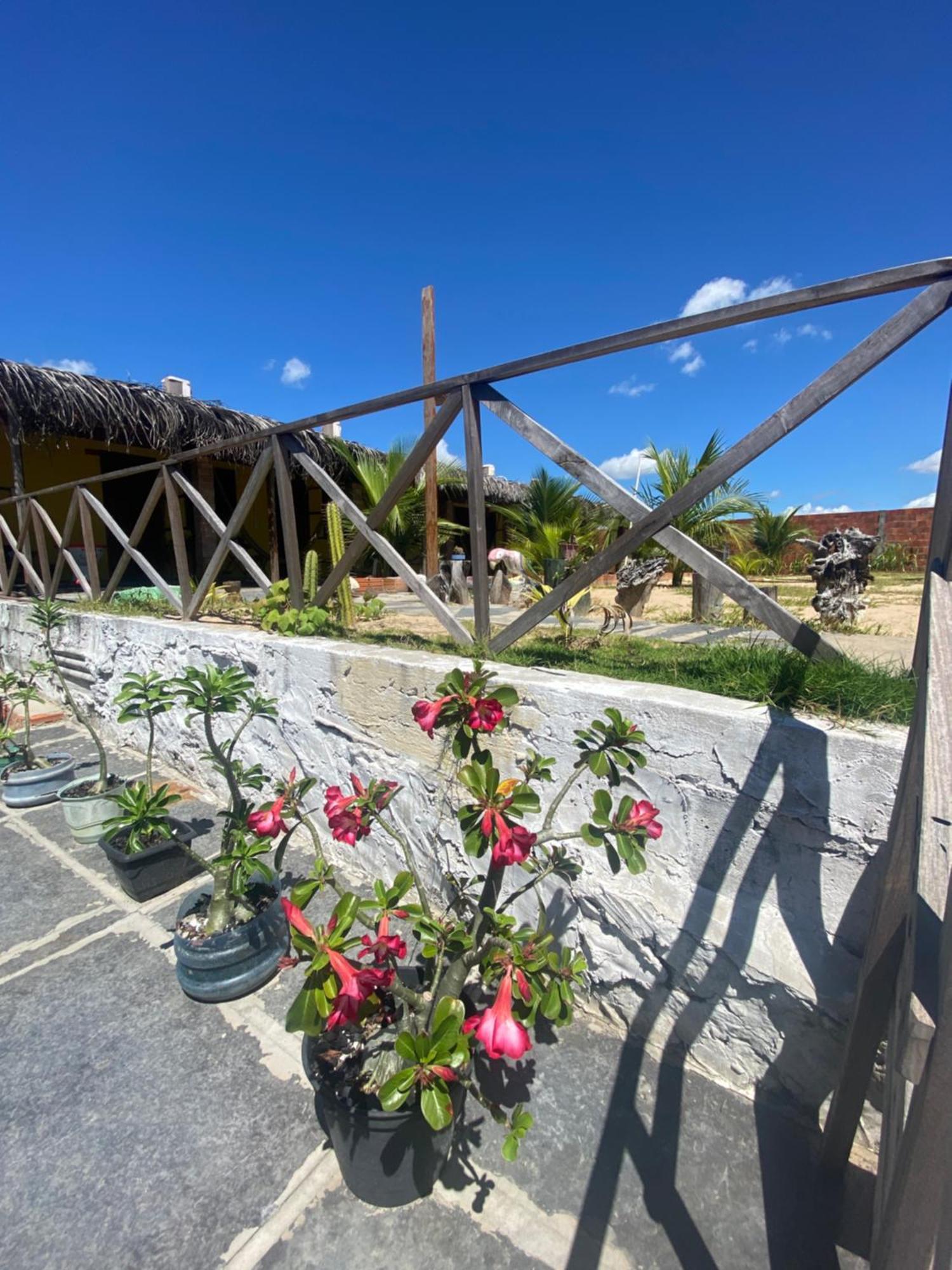 Pousada Rancho Sol Nascente Tutóia Eksteriør bilde